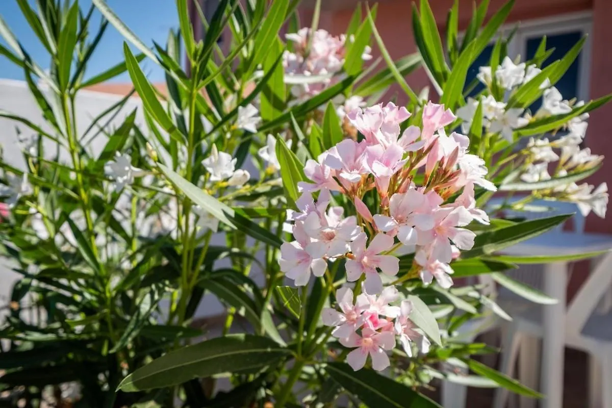 Appartement 10Min Da Bosa Marina - Con Giardino E Parcheggio à Tresnuraghes