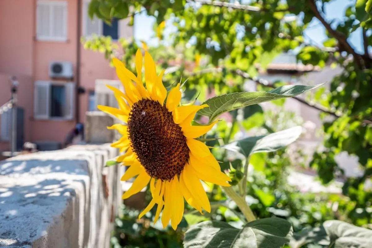10Min Da Bosa Marina - Con Giardino E Parcheggio Lejlighed Tresnuraghes 0*,  Italien